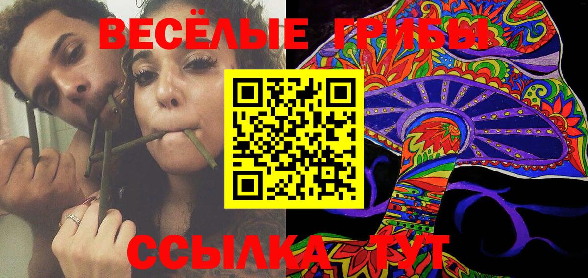 купить закладку  Псилоцибиновые грибы Cubensis  Вход с VPN  Сосновоборск 